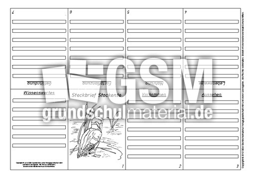 Faltbuch-Steckbrief-Stockente-2.pdf